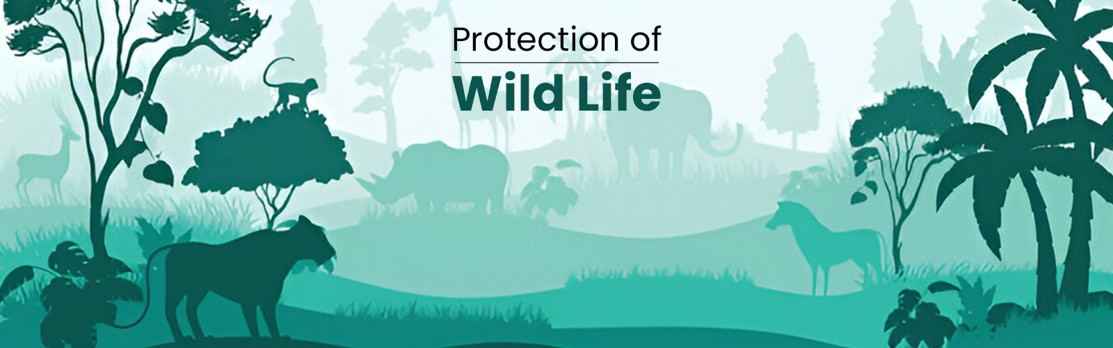 Protection of Wild Life