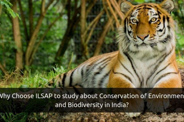 Conservation of Environment and Biodiversity